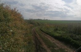 Teren 3000 mp, extravilan, Miroslava