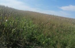 Teren 3000 mp, extravilan, Miroslava