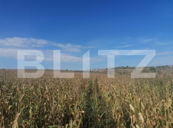 Teren de vânzare Miroslava - 146212TV | BLITZ Iași | Poza1