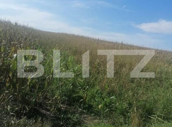 Teren de vânzare Miroslava - 146212TV | BLITZ Iași | Poza3