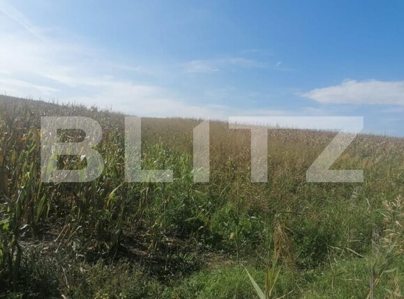 Teren de vânzare Miroslava - 146212TV | BLITZ Iași | Poza2