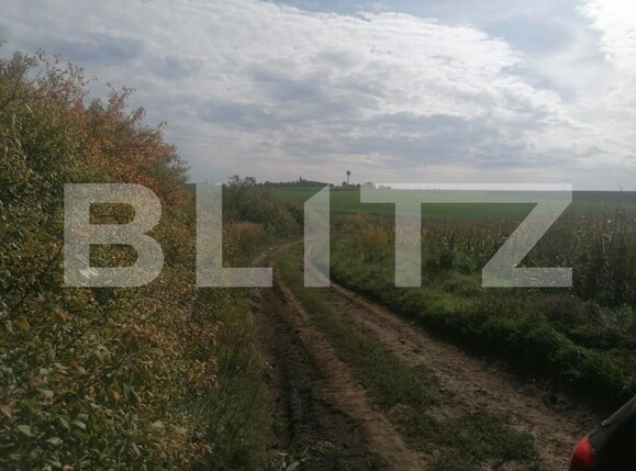 Teren de vânzare Miroslava - 146212TV | BLITZ Iași | Poza4