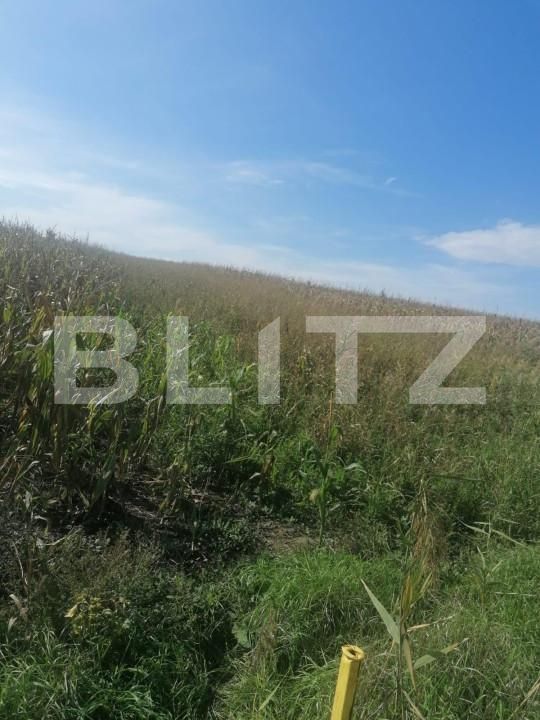 Teren de vânzare Miroslava - 146212TV | BLITZ Iași | Poza3
