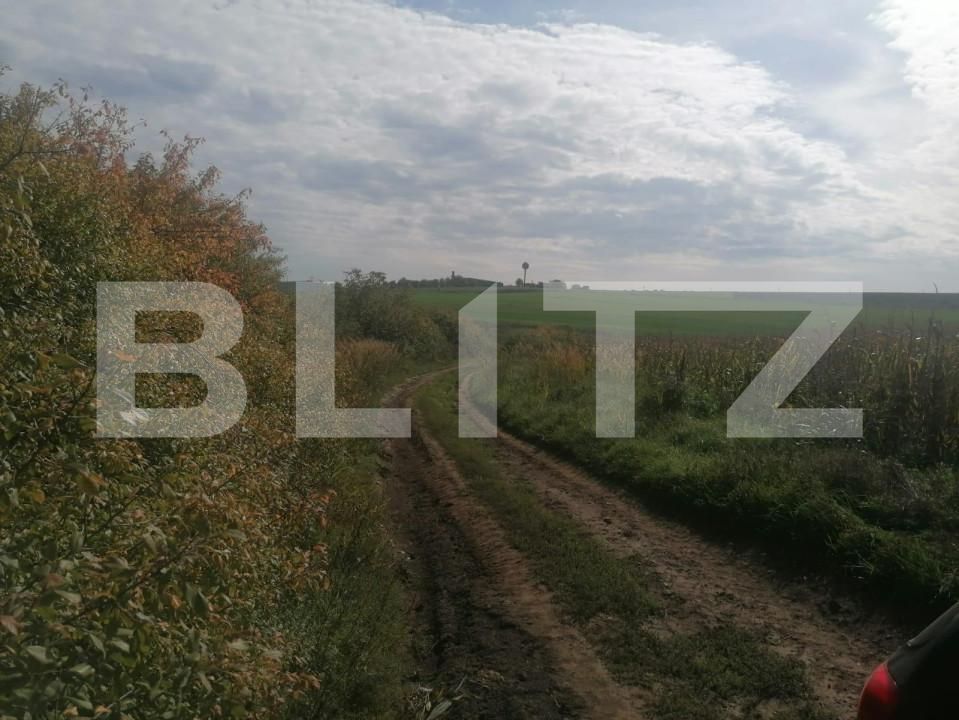 Teren de vânzare Miroslava - 146212TV | BLITZ Iași | Poza4