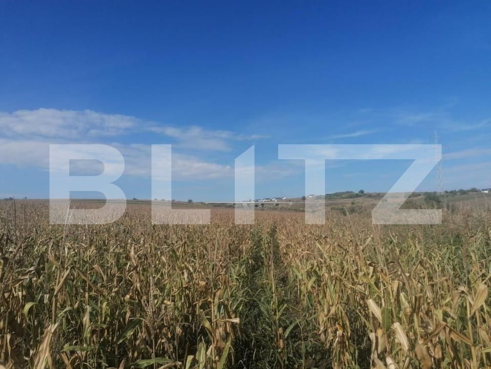 Teren de vânzare Miroslava - 146212TV | BLITZ Iași | Poza1