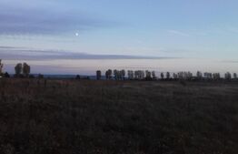 Oferta lunii! Scadere pret -Teren 2200 mp, Vorovesti