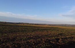 Teren 1,7 ha extravilan, Miroslava