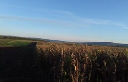 Teren 1,7 ha extravilan, Miroslava