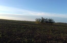 Teren 1,7 ha extravilan, Miroslava