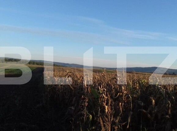 Teren de vânzare Miroslava - 146214TV | BLITZ Iași | Poza1