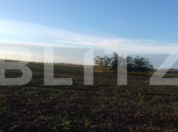 Teren de vânzare Miroslava - 146214TV | BLITZ Iași | Poza2