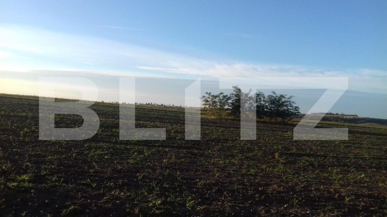 Teren de vânzare Miroslava - 146214TV | BLITZ Iași | Poza2