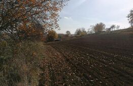 Teren extravilan 5000 mp, Uricani