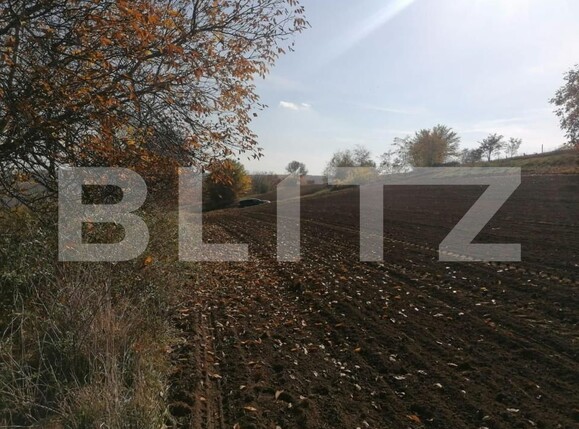 Teren de vânzare Vest - 146215TV | BLITZ Iași | Poza3