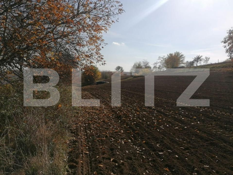 Teren de vânzare Vest - 146215TV | BLITZ Iași | Poza3