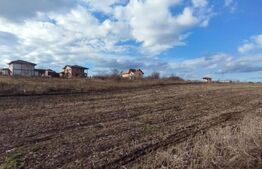 Teren cu autorizatie 2 duplexuri, 4600 mp intravilan, Miroslava