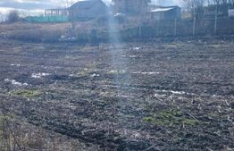 Teren cu autorizatie 2 duplexuri, 4600 mp intravilan, Miroslava