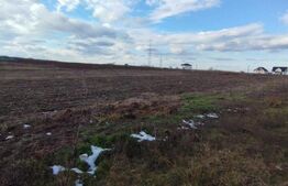 Teren cu autorizatie 2 duplexuri, 4600 mp intravilan, Miroslava