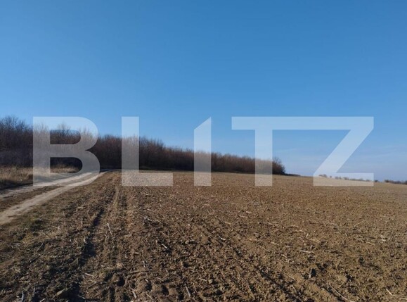 Teren de vânzare Exterior Sud - 146217TV | BLITZ Iași | Poza2