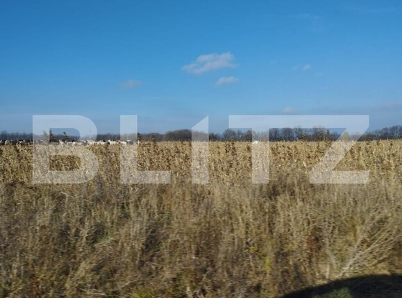 Teren de vânzare Exterior Sud - 146217TV | BLITZ Iași | Poza1