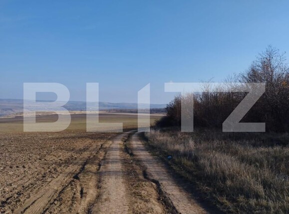 Teren de vânzare Exterior Sud - 146220TV | BLITZ Iași | Poza2