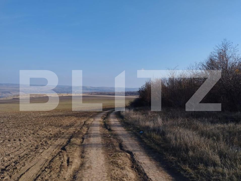 Teren de vânzare Exterior Sud - 146220TV | BLITZ Iași | Poza2