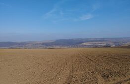 Teren agricol, 1,6 ha, 30 km de Iasi
