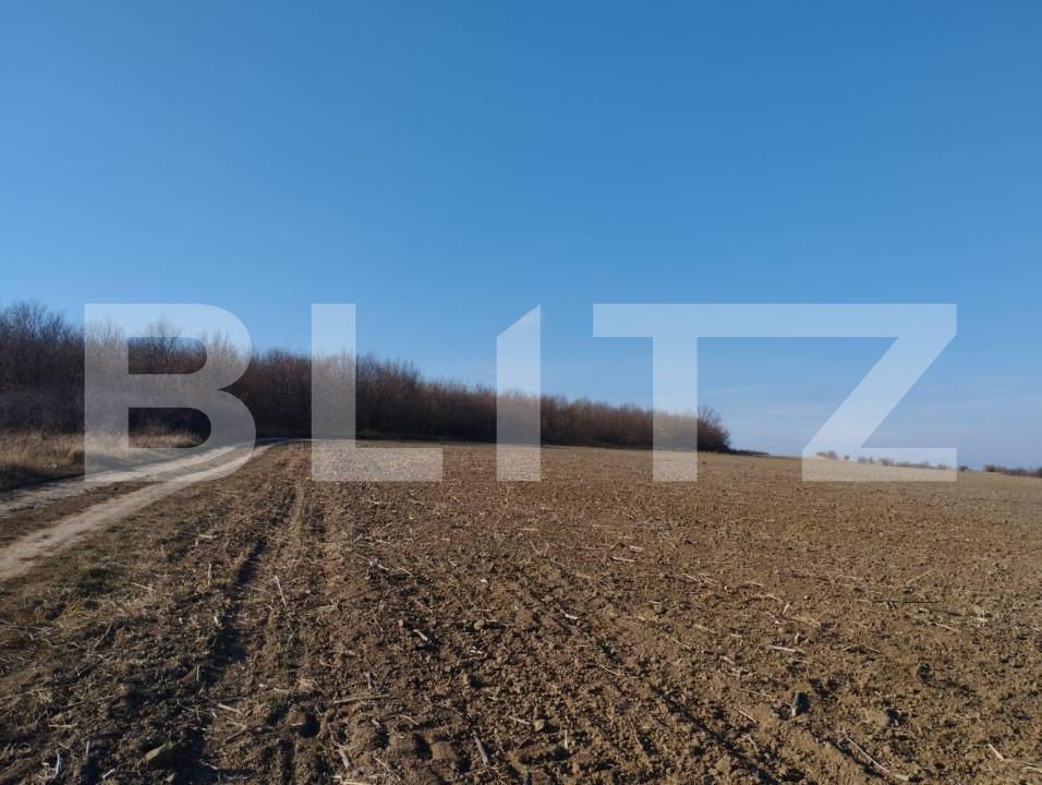 Teren de vânzare Exterior Sud - 146222TV | BLITZ Iași | Poza2