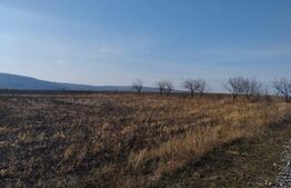 Teren agricol 2,5 ha compact, 30 km de Iasi