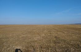 Teren agricol 2,5 ha compact, 30 km de Iasi