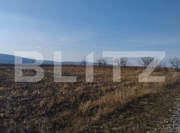 Teren de vânzare Exterior Sud - 146223TV | BLITZ Iași | Poza1