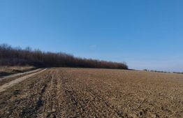 Teren 1 ha, bun fotovoltaice, 30 km de Iasi