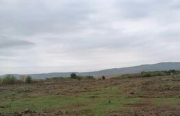 Teren 1000 mp, utilitati, Birnova-Pietrarie