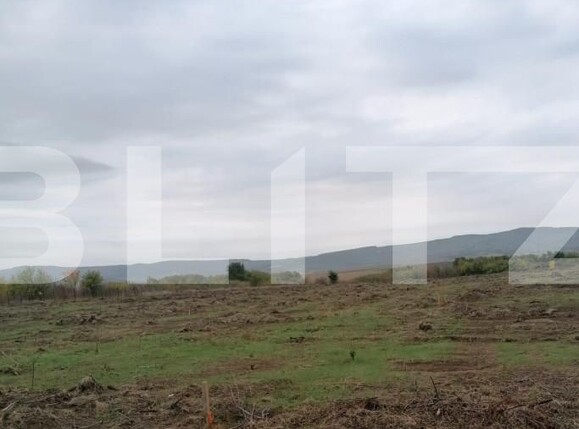 Teren de vânzare Pietrarie - 146225TV | BLITZ Iași | Poza2