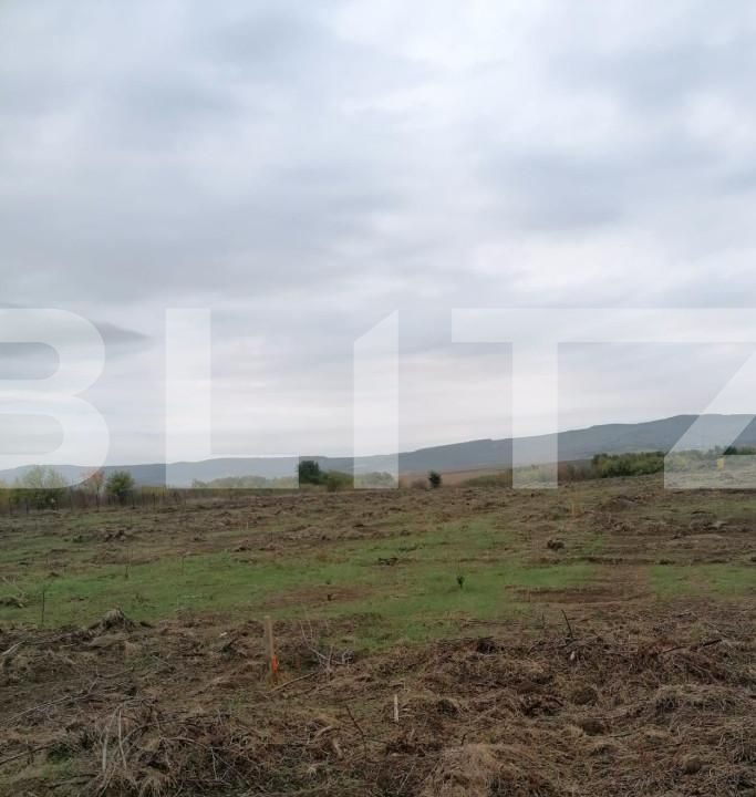 Teren de vânzare Pietrarie - 146225TV | BLITZ Iași | Poza2