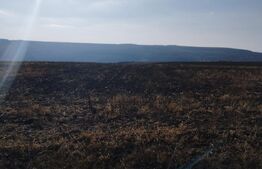 Teren 2,8 ha, langa Autostrada, utilitati aproape, Letcani