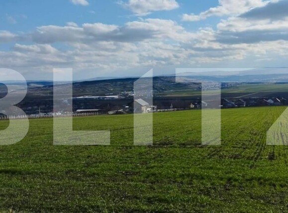 Teren de vânzare Exterior Vest - 146228TV | BLITZ Iași | Poza4