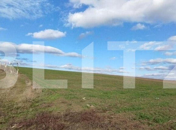 Teren de vânzare Exterior Vest - 146228TV | BLITZ Iași | Poza3