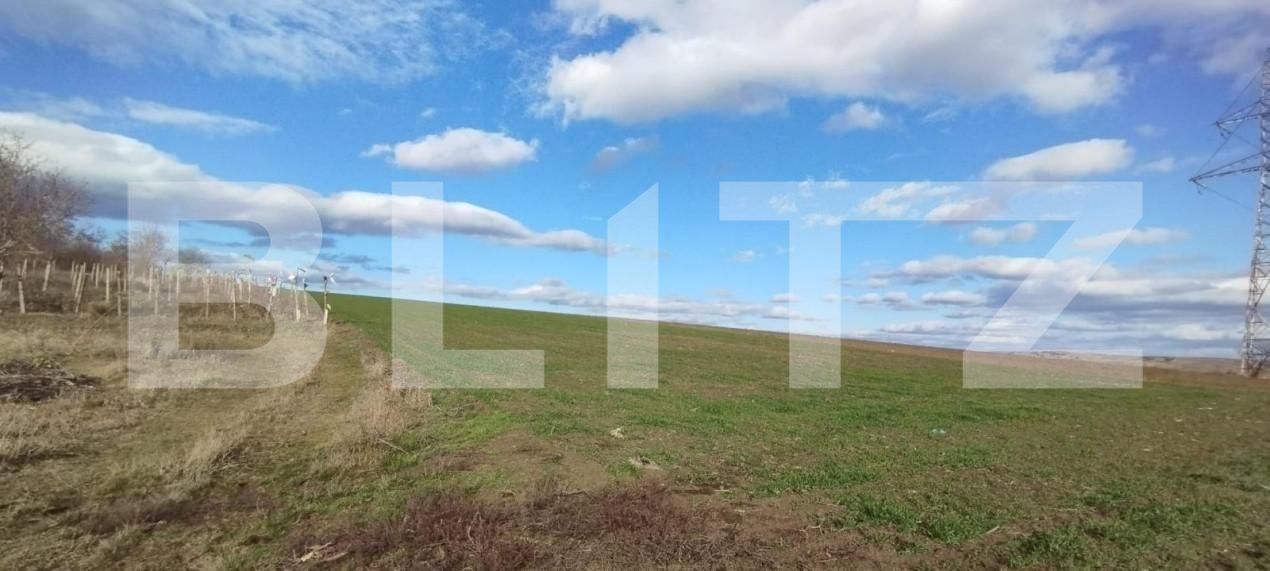 Teren de vânzare Exterior Vest - 146228TV | BLITZ Iași | Poza3