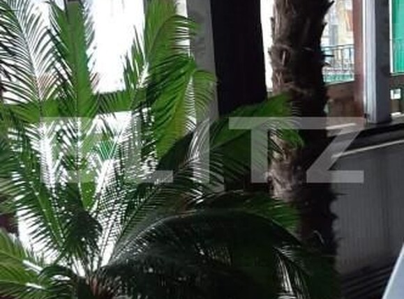 Teren de vânzare Bucium - 146231TV | BLITZ Iași | Poza5