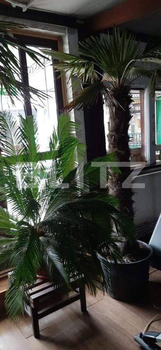 Teren de vânzare Bucium - 146231TV | BLITZ Iași | Poza5