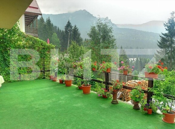 Spațiu comercial de vânzare Exterior Vest - 146233SVC | BLITZ Iași | Poza2