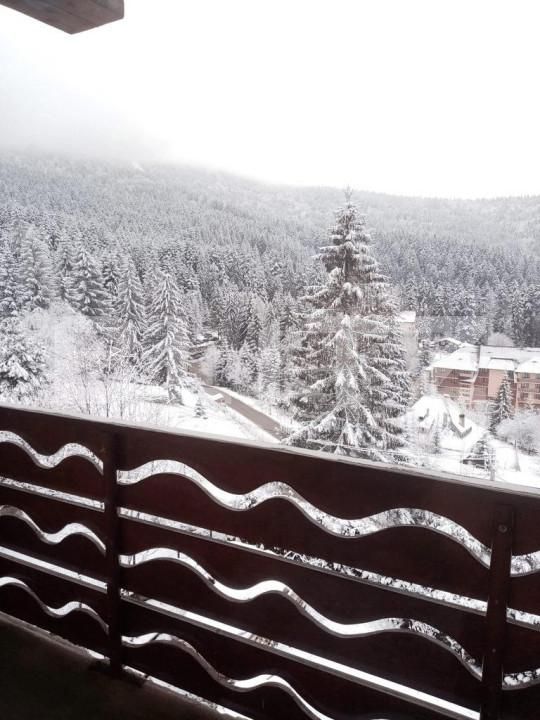 Spațiu comercial de vânzare Exterior Vest - 146233SVC | BLITZ Iași | Poza12