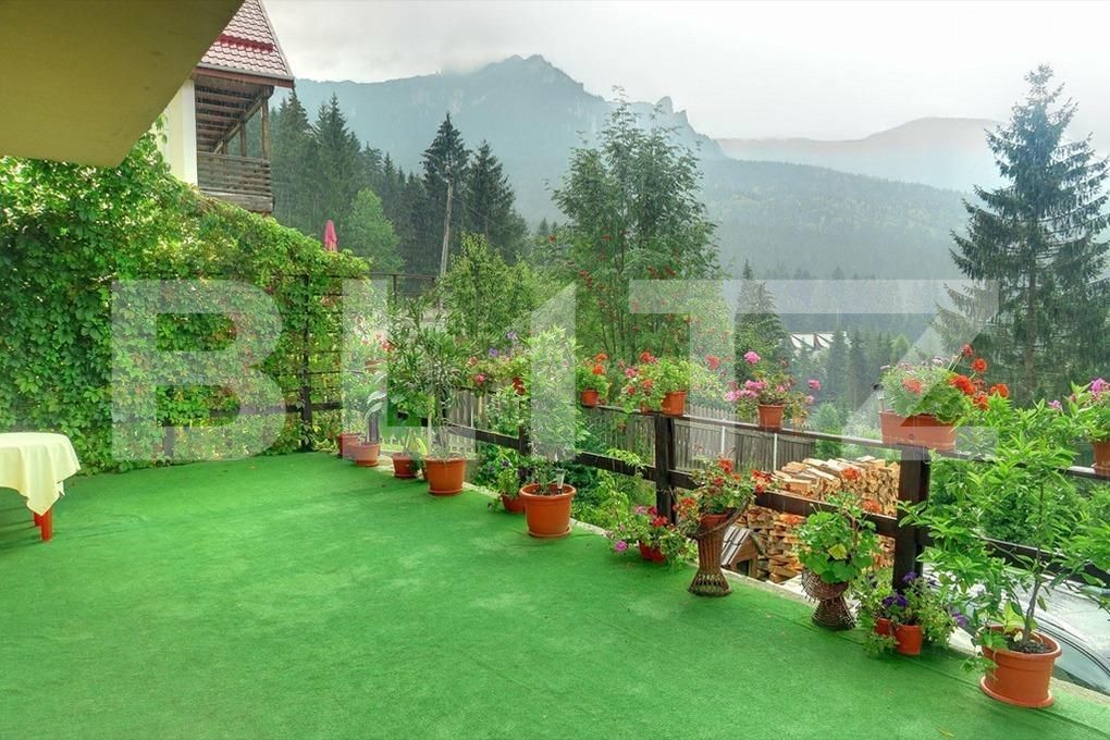 Spațiu comercial de vânzare Exterior Vest - 146233SVC | BLITZ Iași | Poza2