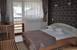 Pensiune 13 camere,750 mp, 2000 mp de teren, lac, Varatec