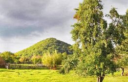 Pensiune 13 camere,750 mp, 2000 mp de teren, lac, Varatec