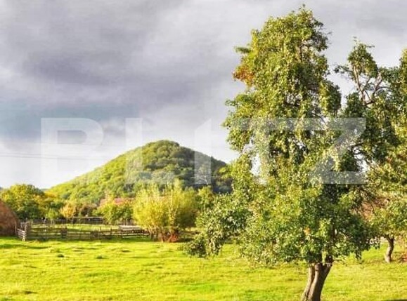 Spațiu comercial de vânzare Exterior Vest - 146235SVC | BLITZ Iași | Poza5