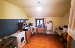 Casa pretabila pentru clinica, 246 mp, Ultracentral, Mitropoliei