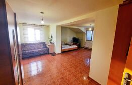 Casa pretabila pentru clinica, 246 mp, Ultracentral, Mitropoliei