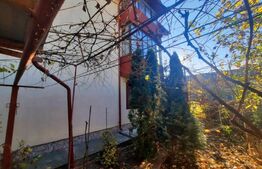 Casa pretabila pentru clinica, 246 mp, Ultracentral, Mitropoliei